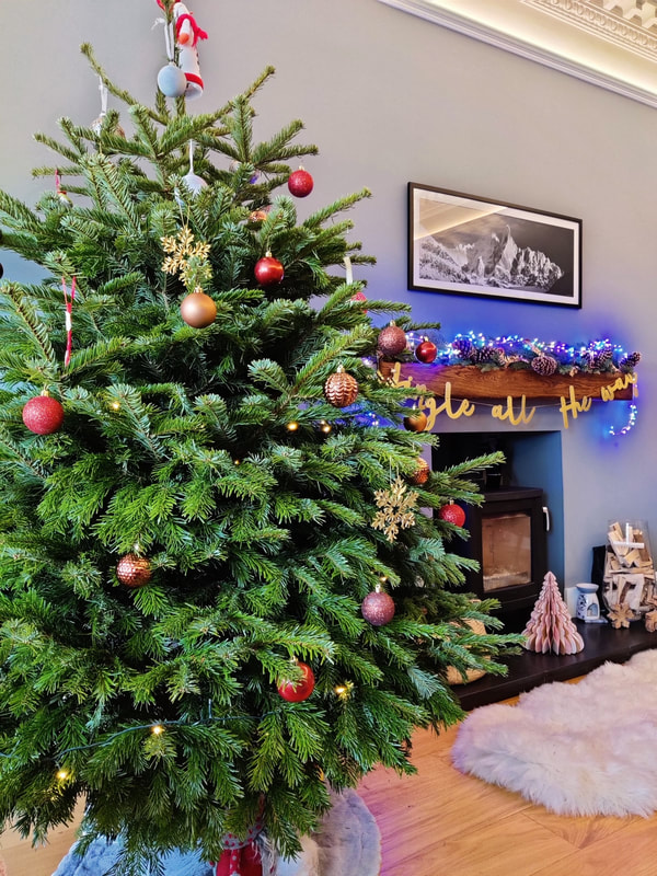 Order a Real Christmas Tree Delivery in Central Scotland from Glasgow Christmas Trees, click here