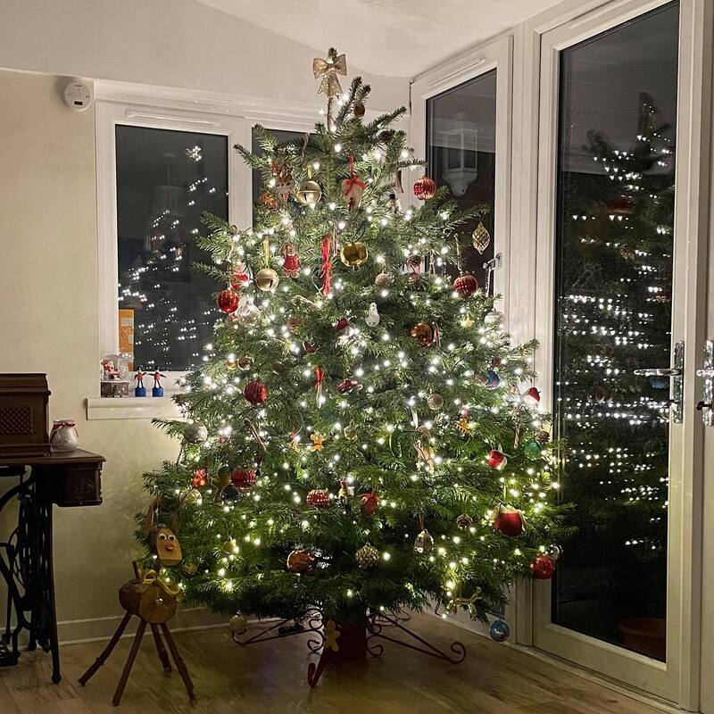 Would you like a real Christmas Tree delivery in Glasgow this Christmas? click here and order a real Christmas Tree online for delivery in the Glasgow area.
