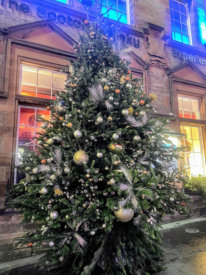 Real Nordmann Fir Christmas Trees in Glasgow click here and order a Real Christmas Tree delivery in Glasgow