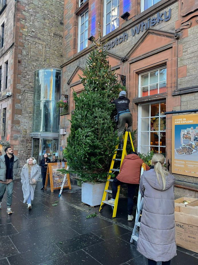 Nordmann Fir Christmas Tree Delivery and Installation, click here and order a Real Christmas Tree for delivery in the Glasgow area
