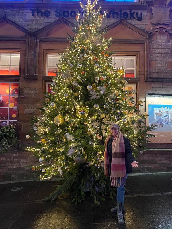 Real 16 ft Nordmann Fir Christmas Tree Suppy and Installation at The Scotch Whisky Experience in Scotland